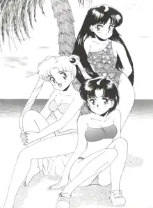 SAILOR MOON MATE 02 AMI, 日本語