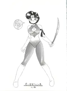 SAILOR MOON MATE 02 AMI, 日本語