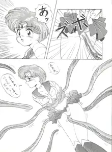 SAILOR MOON MATE 02 AMI, 日本語