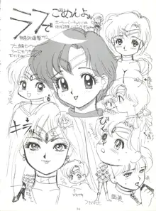 SAILOR MOON MATE 02 AMI, 日本語