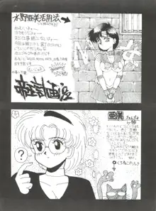 SAILOR MOON MATE 02 AMI, 日本語