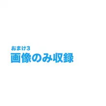 SNSで不倫する人される人, 日本語