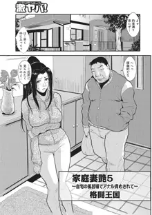 家庭妻艶 Vol.1, 日本語