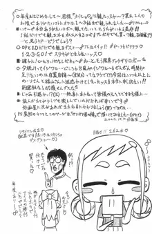 ぴぴぷぷ 3, 日本語