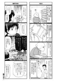 淑女のひめごと～オンナたちの都市伝説～, 日本語