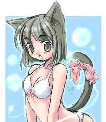 R18 PIKO CG COLLECTION VOL.1, 日本語