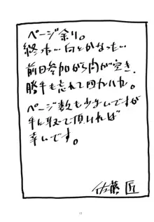 バニロゼ～バニーロゼッタさんがおっさんにヤラれちゃう話～, 日本語