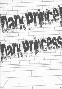 Dark Prince Dark Princess, 日本語