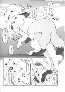 犬の腹を揉む狐, 日本語