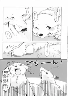 犬の腹を揉む狐, 日本語