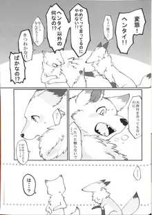 犬の腹を揉む狐, 日本語