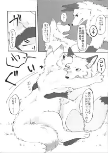 犬の腹を揉む狐, 日本語