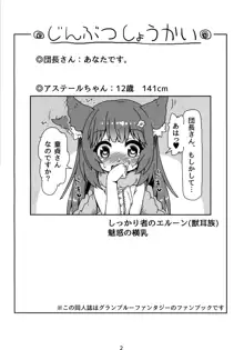 発情期さきゅばす アステールちゃん, 日本語