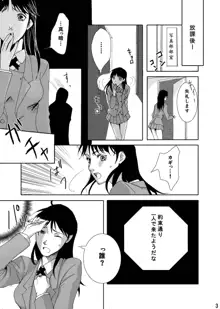 七瀬少女の事件簿, 日本語