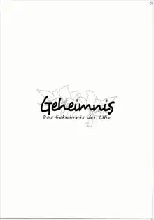 Geheimnis, 日本語