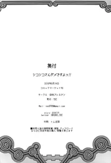 シコシコさんダメですよぅ!!, 日本語