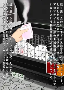 うちのメイドが全裸に首輪にアナル尻尾(+ボディペイント)で完全に犬になりきってオスと交尾しちゃうお話, 日本語