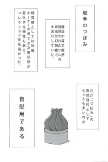 姦妖触物 妖夢の姦擦日記, 日本語