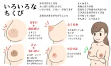 わたしたちのからだ〜こどもができるしくみ〜, 日本語