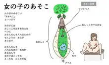 わたしたちのからだ〜こどもができるしくみ〜, 日本語