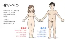 わたしたちのからだ〜こどもができるしくみ〜, 日本語