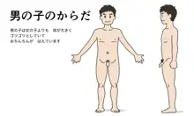 わたしたちのからだ〜こどもができるしくみ〜, 日本語