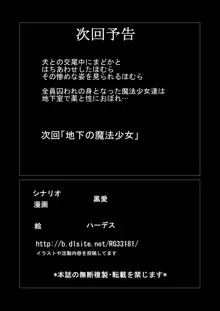 通常のSEXには飽き飽きしているご老人の地下室～四～, 日本語