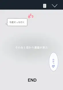 母さん！帰省するよ！, 日本語