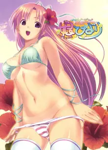 娘びより BOOK COLLECTION VOL.4, 日本語