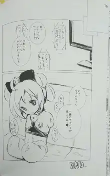 アイドル肉奴隷宣言!, 日本語