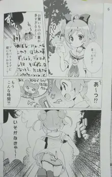 アイドル肉奴隷宣言!, 日本語