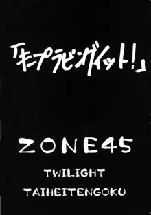 ZONE45, 日本語