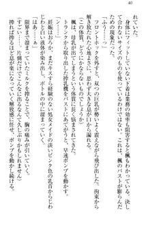 メイドやります！ 年上お姉さんとツンツン幼なじみ, 日本語