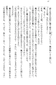 メイドやります！ 年上お姉さんとツンツン幼なじみ, 日本語