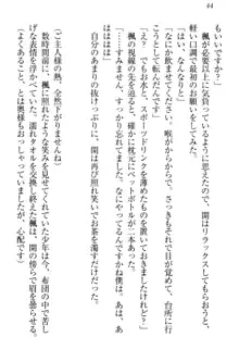 メイドやります！ 年上お姉さんとツンツン幼なじみ, 日本語