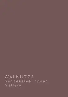 WALNUT78 10th, 日本語