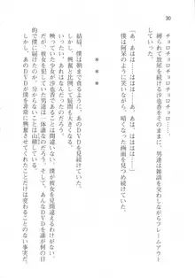 輪姦媚薬中毒 -逃げ場無し!1428人の生徒全員にSEXされる令嬢沙也香-, 日本語