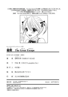 秘密 The Great Escape, 日本語