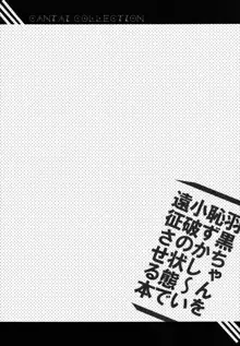 羽黒ちゃんを恥ずかし~い小破の状態で遠征させる本, 日本語