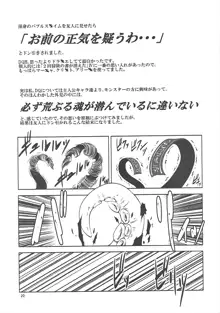 FD vol.5, 日本語