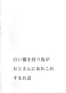 本番なし!フェザータッチはじめちゃん, 日本語