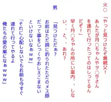 40歳童貞魔法使いが近所の美少女をひたすら寝取っていくだけの話, 日本語