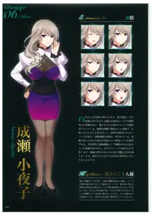 聖娼女 ビジュアルコンプリートブック, 日本語