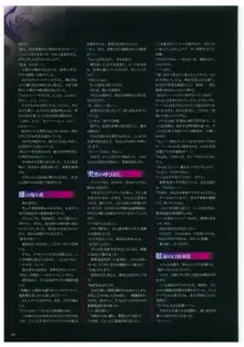 聖娼女 ビジュアルコンプリートブック, 日本語