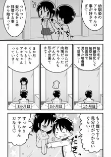 憧れの女子のクローンを作った天才少年の話, 日本語