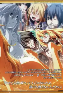 Dies irae Also - Acta est Fabula - Scharlachrot Grun - 同梱特典 Ein visuelles Facherbuch - 白本, 日本語