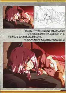 Dies irae Also - Acta est Fabula - Scharlachrot Grun - 同梱特典 Ein visuelles Facherbuch - 白本, 日本語