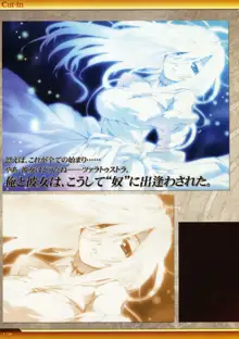 Dies irae Also - Acta est Fabula - Scharlachrot Grun - 同梱特典 Ein visuelles Facherbuch - 白本, 日本語