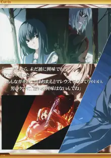 Dies irae Also - Acta est Fabula - Scharlachrot Grun - 同梱特典 Ein visuelles Facherbuch - 白本, 日本語