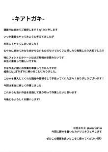 第5番装備スロットを拡張する方法, 日本語